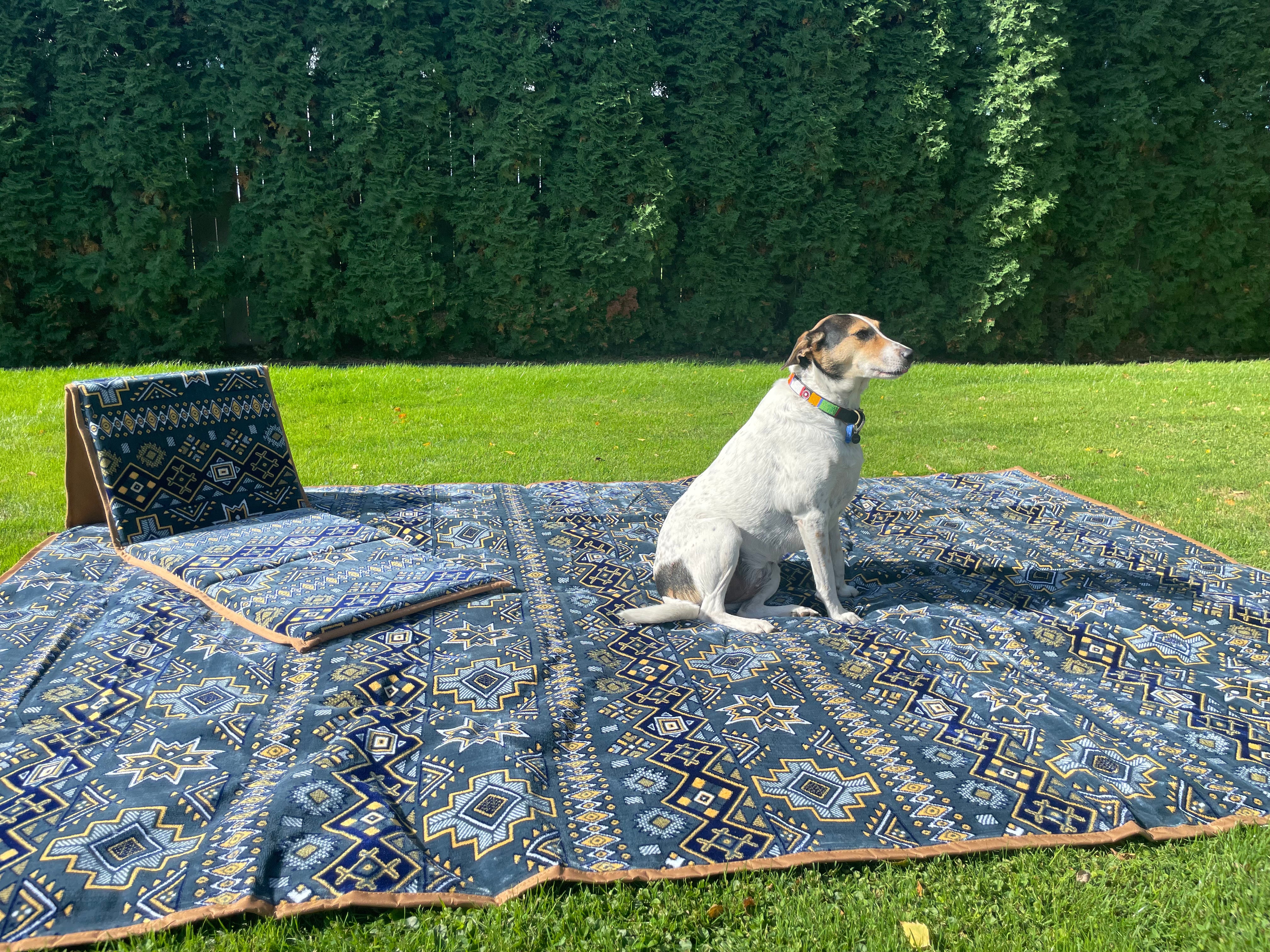 2x3m Rug LAYLA BLUE 2x3m OUTDOOR RUG – Intrepid Home